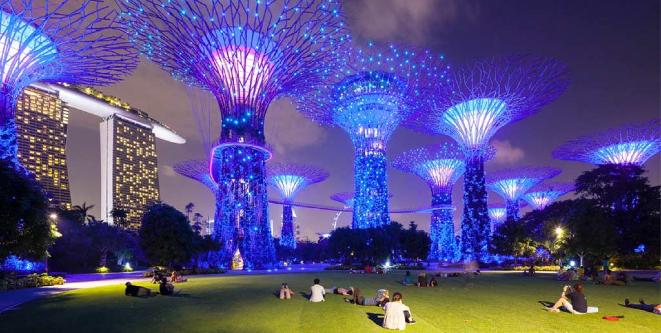 Gardens by the Bay - Singapore | Anolis LED Lighting