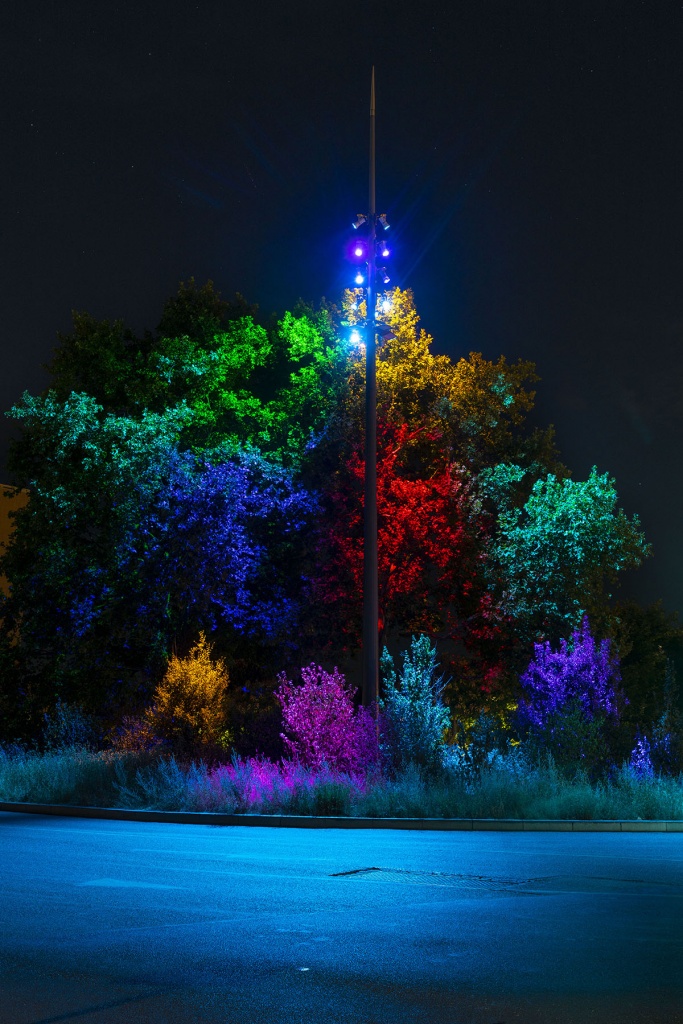 Anolis Helps Re-Light Gerland Park in Lyon