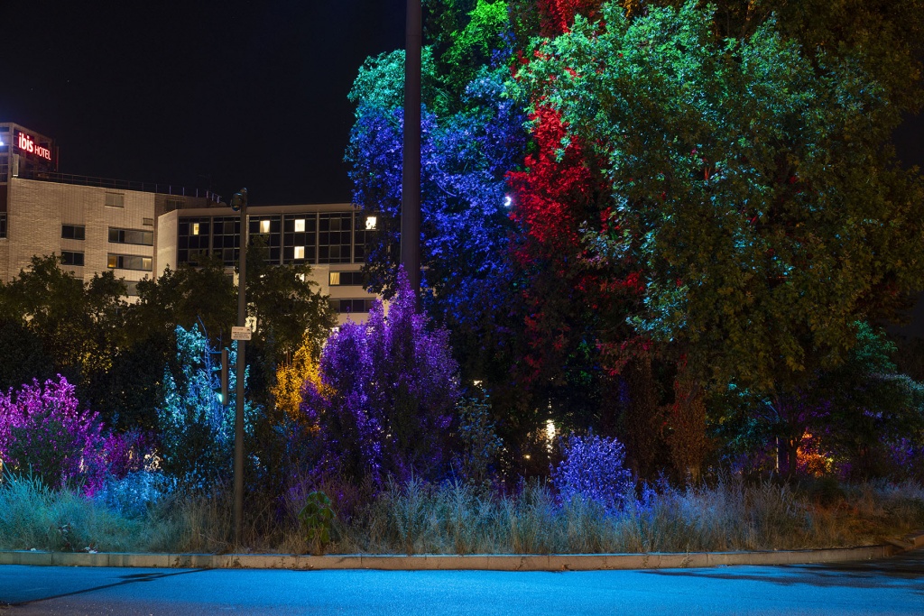 Anolis Helps Re-Light Gerland Park in Lyon